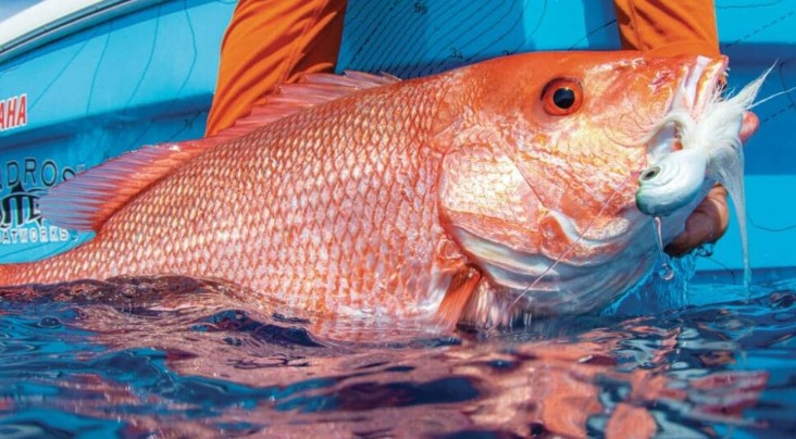 Pescador sosteniendo un pargo rojo recién capturado en el Golfo de Nicoya